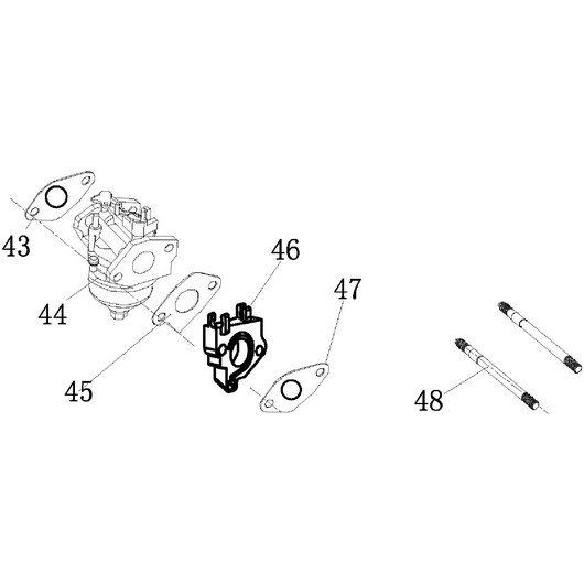 Карбюратор Champion GG5000EW