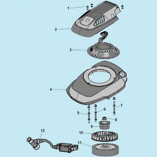 Магнето и стартер Champion GS50100 до 2020г