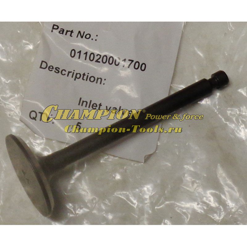 Клапан впускной DG3600Е, DTP81E