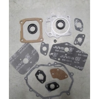 Набор уплотнений двигателя G160VK, BC5602 замена на TW00210102