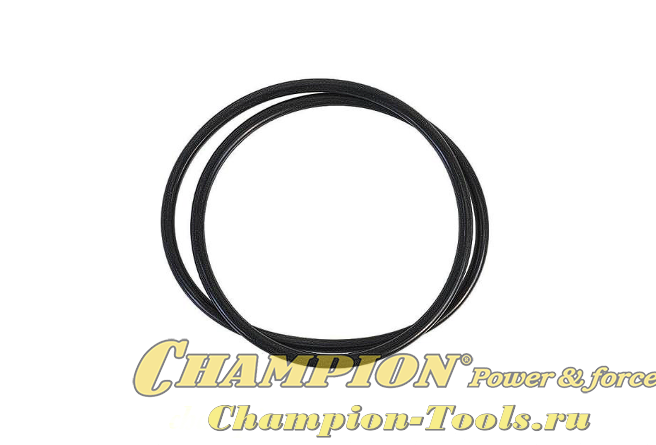Кольцо уплотнительное корпуса помпы GTP82 266х5,5