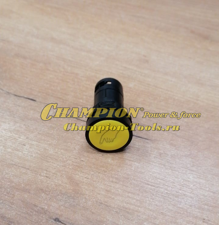 Кнопка запуска двигателя LM5346E