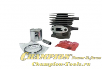 Поршневая группа Hitachi CG27 35мм