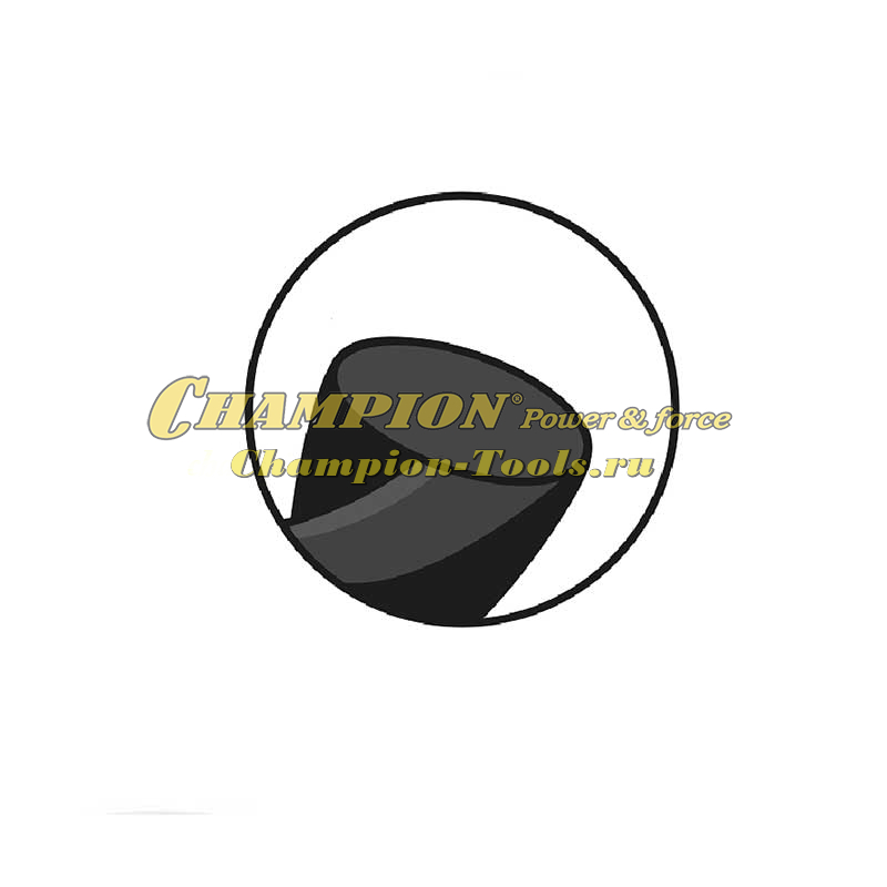 Леска для триммера Champion Ellipse Twist 2,4мм x 12м